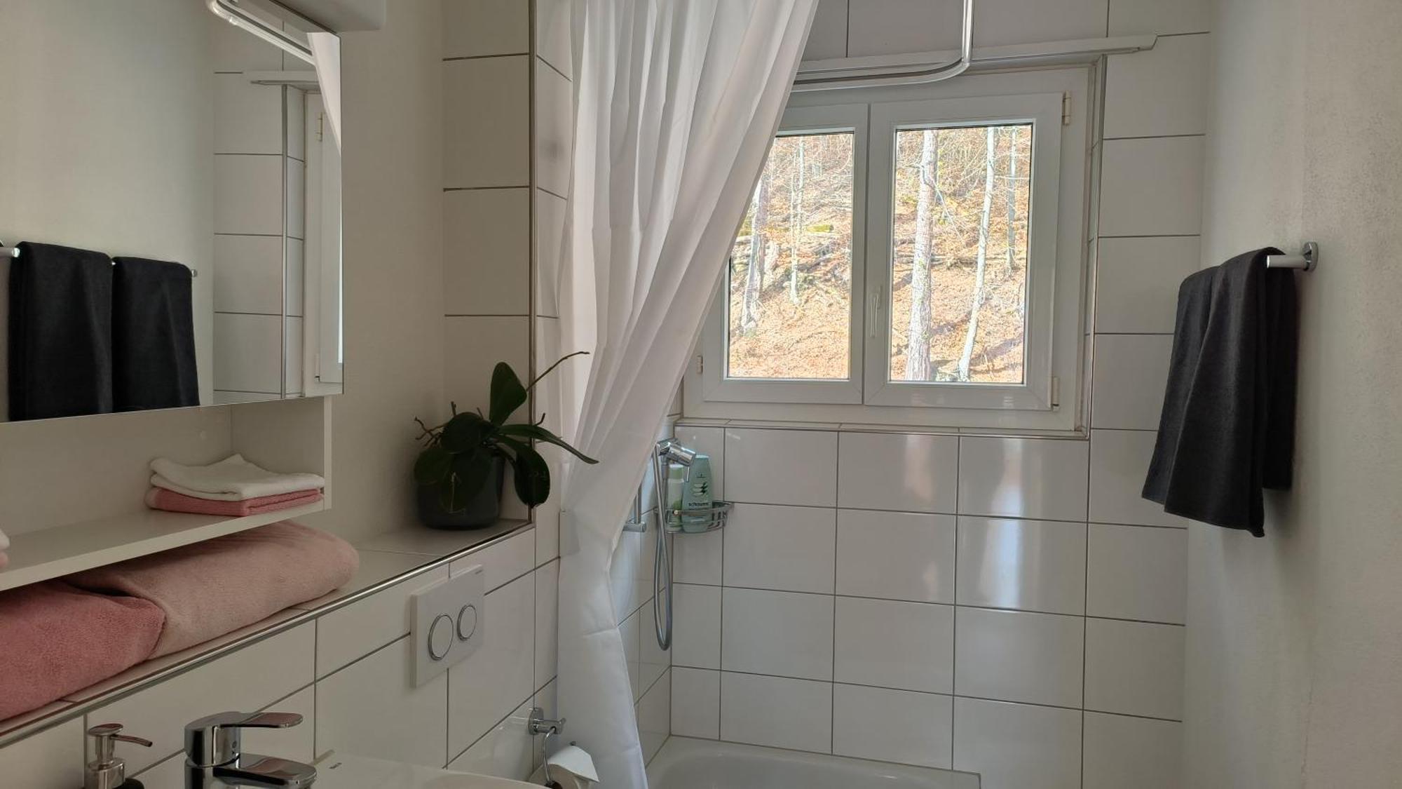 Apartmán Swisshomeliday *